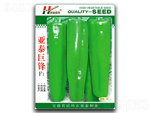 ��̩�޷�-����ݽ�����-��̩