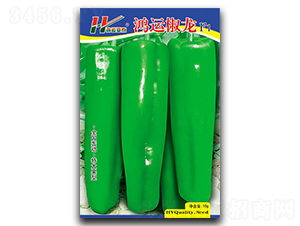 ���˽���-����ݽ�����-��̩