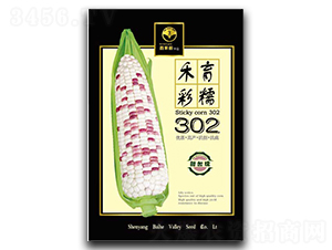 �����Ŵ302-Ŵ��������-�ٺ̹�