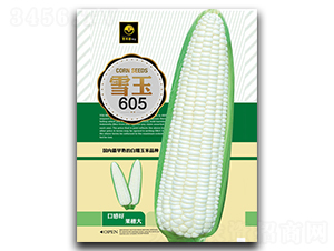 ѩ��605-Ŵ��������-�ٺ̹�