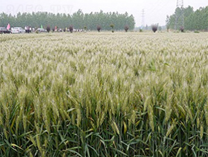 ����32-С������-������ҵ