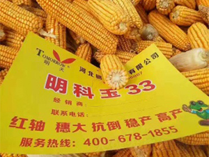 ������33-��������-������ҵ