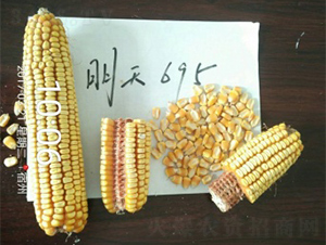 ����695-��������-������ҵ