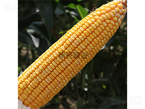 ��ũ��508-��������-��ũ��ҵ