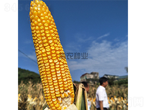 ����1108-��������-��ũ��ҵ