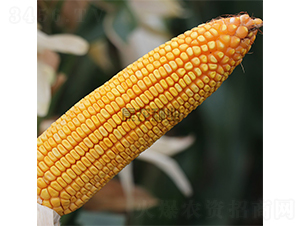 �߿�183-��������-��ũ��ҵ