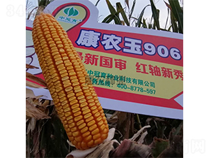 ��ũ��906-��������-��ũ��ҵ