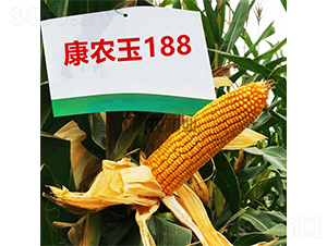 ��ũ��188-��������-��ũ��ҵ