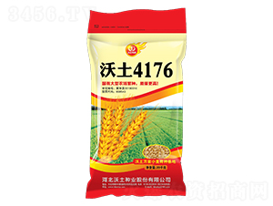 ����4176-С������-������ҵ