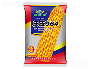 ����964-��������-������ҵ