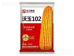 ����102-��������-������ҵ