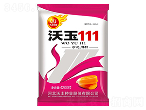 ����111-��������-������ҵ