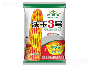 ����3��-��������-������ҵ