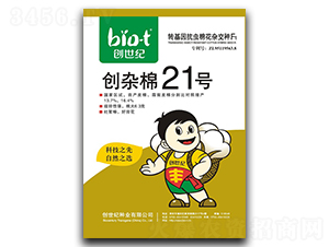 ������21��-�޻�����-������