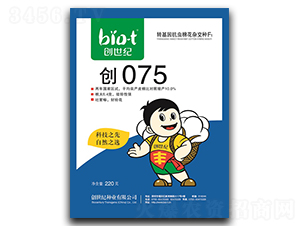 ��075-�޻�����-������