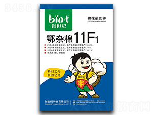 ������11F1-�޻�����-������