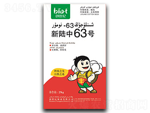 ��½��63��-�޻�����-������