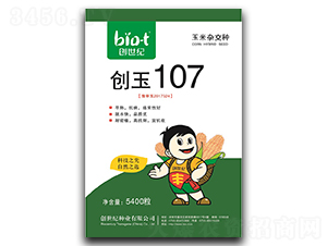 ����107-��������-������