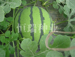 ���Ѿ���-��������-������ҵ