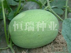 �ʹ���-��������-������ҵ