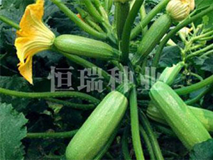 ѩ���-����«����-������ҵ