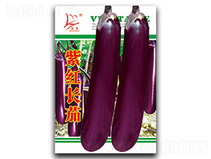 �Ϻ쳤��1-��������-������ҵ