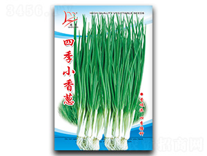 �ļ�С���-С�������-������ҵ