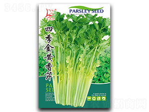 �ļ��ƽ�����-�۲�����-������ҵ