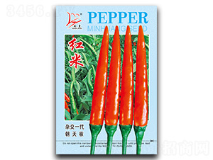 ����-���콷����-������ҵ