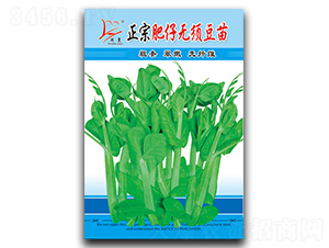 ���ڷ������붹��-��������-������ҵ
