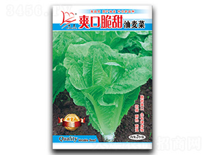 ˬ�ڴ��������-���������-������ҵ