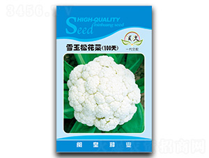 ѩ���ɻ���100��-�ɻ�������-������ҵ