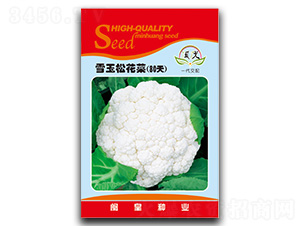ѩ���ɻ���80��-�ɻ�������-������ҵ