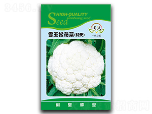 ѩ���ɻ���65��-�ɻ�������-������ҵ
