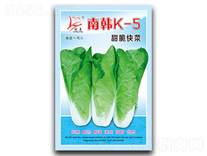 �Ϻ�K-5�����-�������-������ҵ