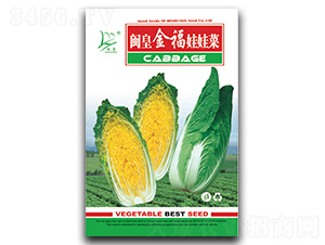 ���ʽ����޲�-���޲�����-������ҵ