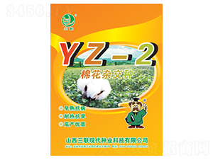 �޻��ӽ���YZ-2-����
