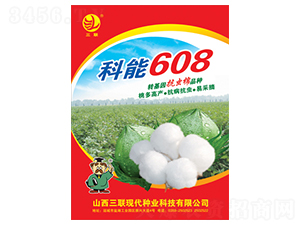 ����608-�޻�����-����