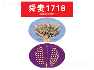 ˴��1718-С������-����