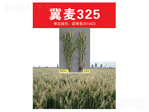 ����325-С������-����