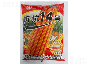 �ÿ�14��-��������-����