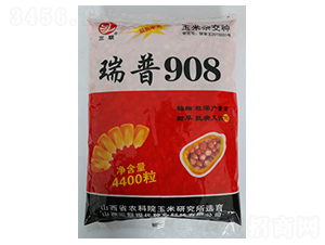 ����908-��������-����