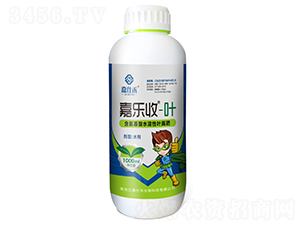1000ml��������ˮ����Ҷ���-������-���˺�