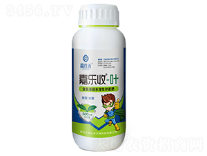 500ml��������ˮ����Ҷ���-������-���˺�