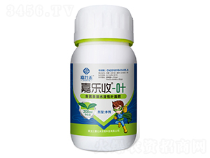 200ml��������ˮ����Ҷ���-������-���˺�