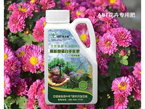 ABT�����Ļ���ר�ø����㵰�׶��ķ�-���ȵ�