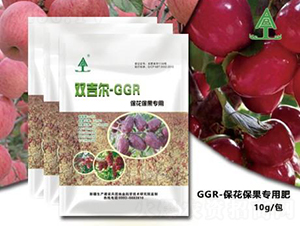 GGR����������-���ȵ�