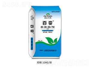 �ٱ�ƽ���20-20-20+TE-��������