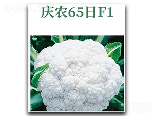 ��ũ65��-��Ҭ������-����