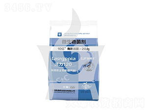 ����120΢�������-ʩ��-���η�ҵ